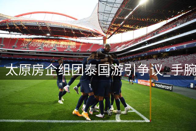 太原房企组团泰国游引争议 手腕蓝印成焦点