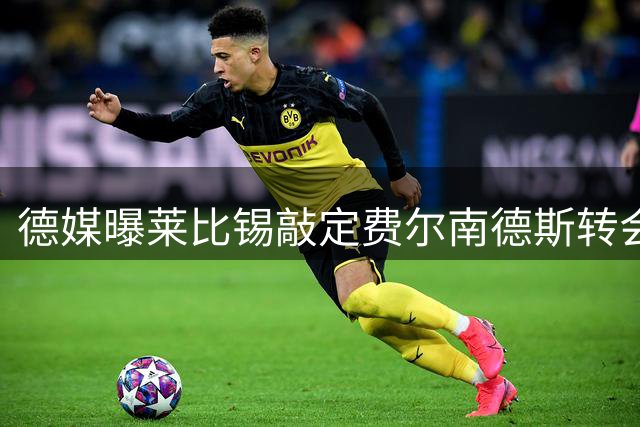 德媒曝莱比锡敲定费尔南德斯转会框架