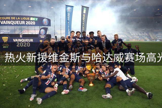 热火新援维金斯与哈达威赛场高光时刻解析