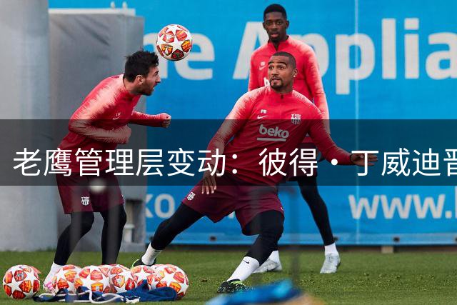 老鹰管理层变动：彼得·丁威迪晋升运营副总裁 前ESPN记者任顾问